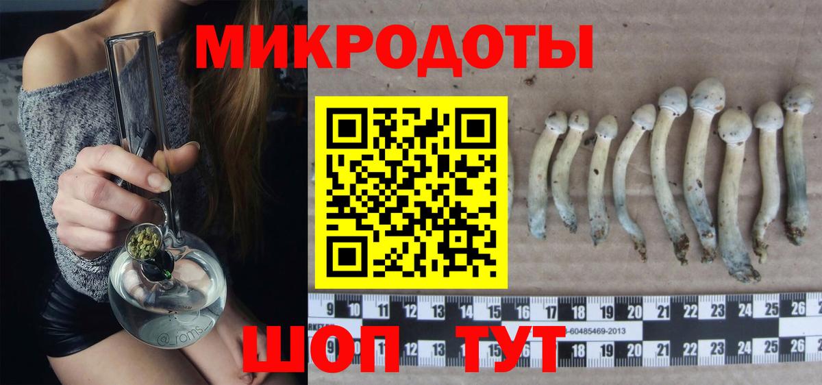 Псилоцибиновые грибы MAGIC MUSHROOMS  Вход с VPN  Тверь 